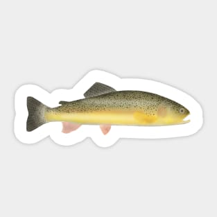 Gila Trout Sticker